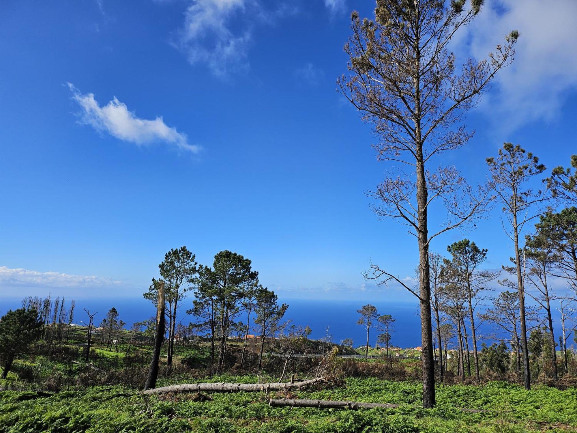 Villa Maravilha Da Costa Ponta do Pargo Esterno foto